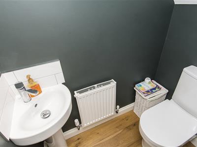 Picture 13